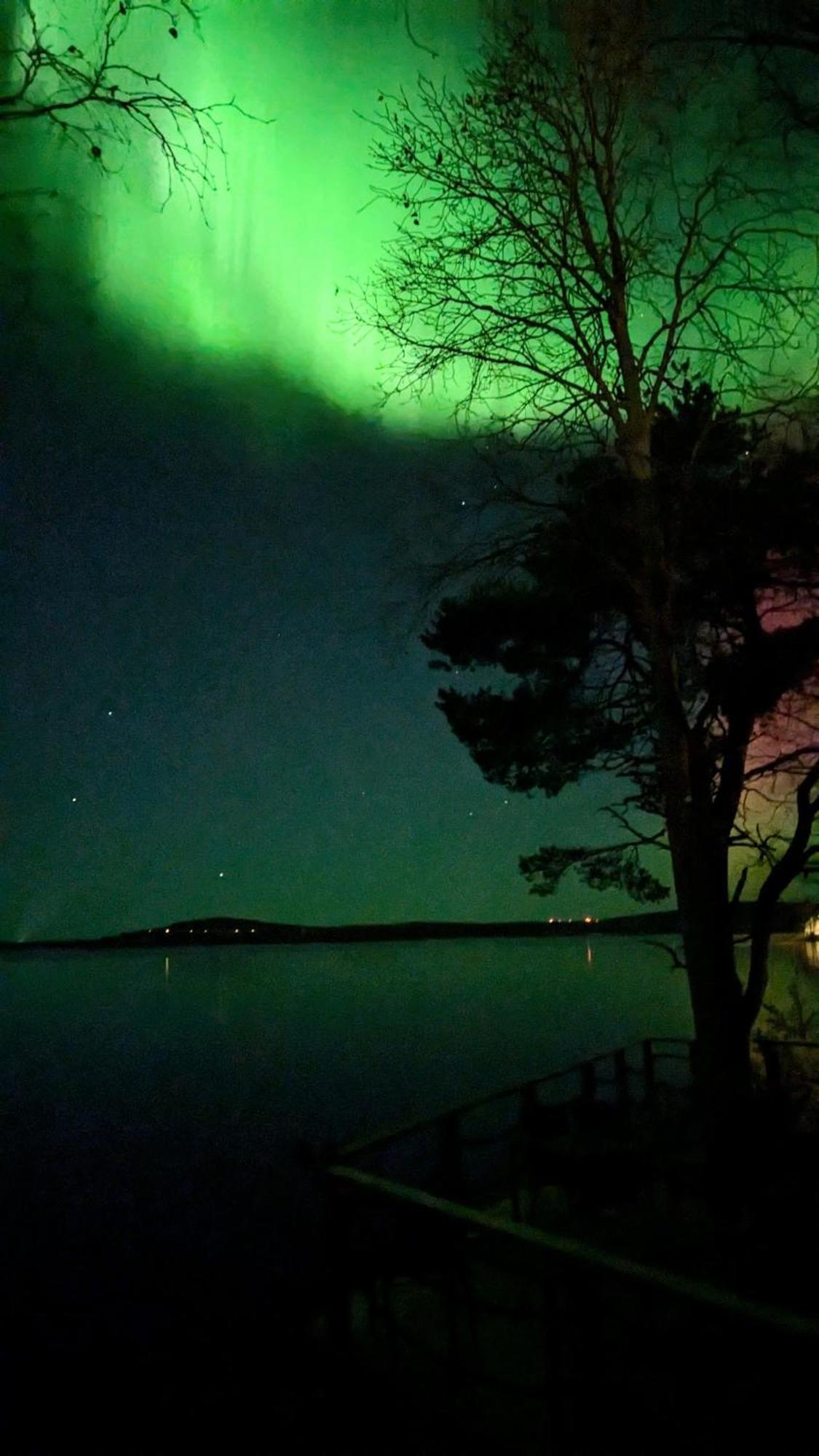 Santa'S Little Village - Hotel Uitonniemi Kemijärvi Exteriör bild